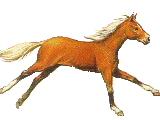 лошадь бежит за бытовками, картинка